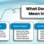 nfs meaning in text